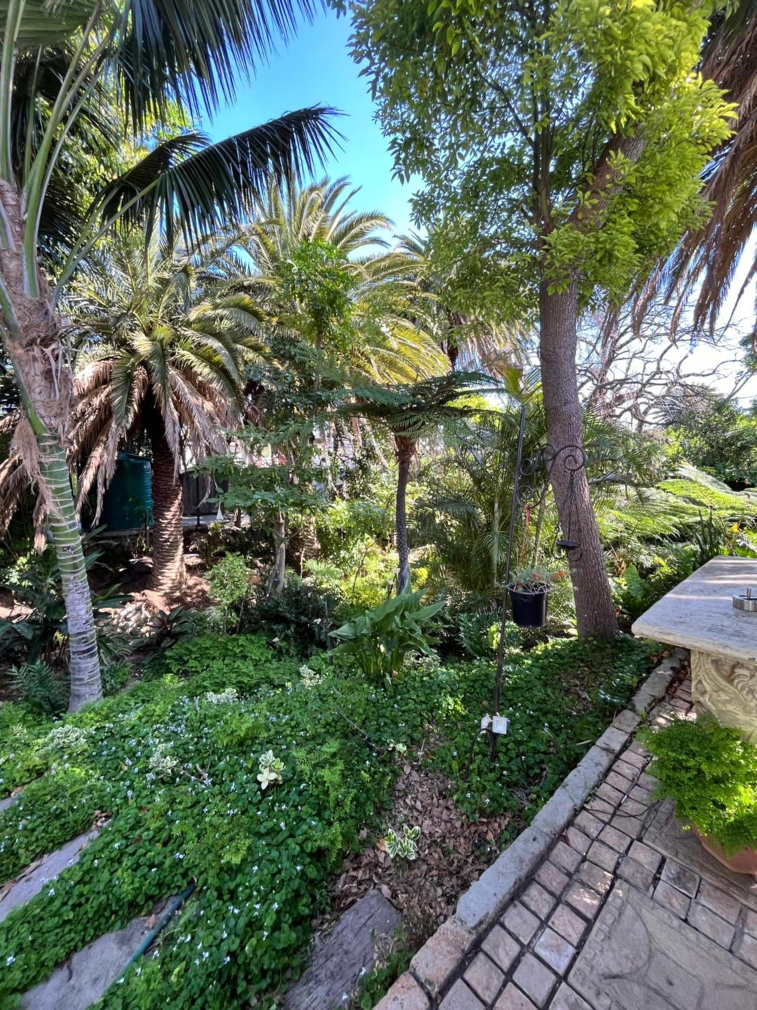 Somerset West Garden Apartments 1 Exterior foto